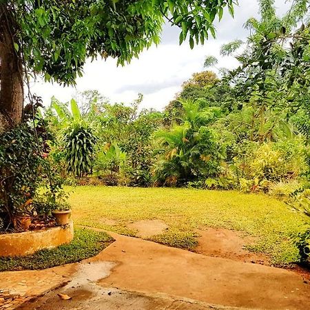 Suisse Villa Kandy Zewnętrze zdjęcie