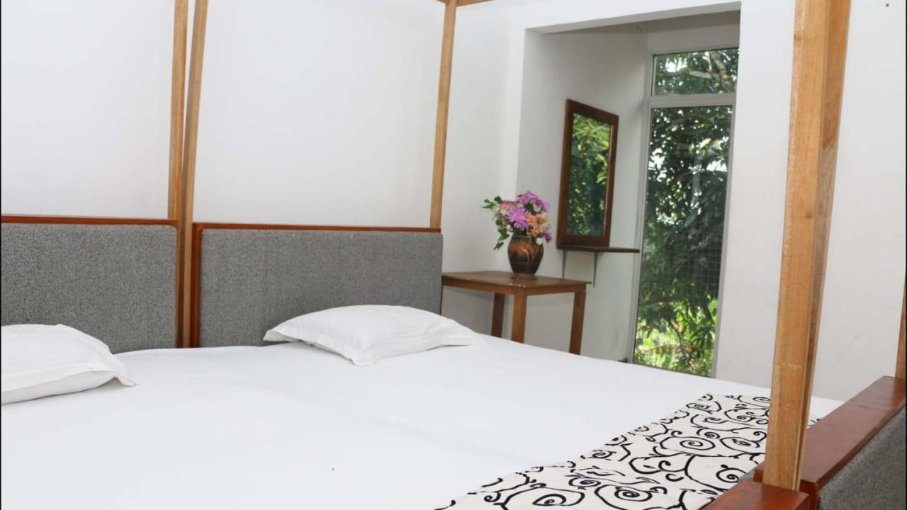 Suisse Villa Kandy Zewnętrze zdjęcie