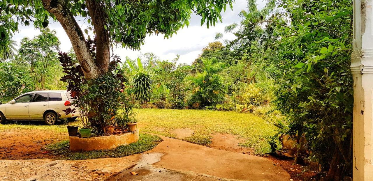 Suisse Villa Kandy Zewnętrze zdjęcie