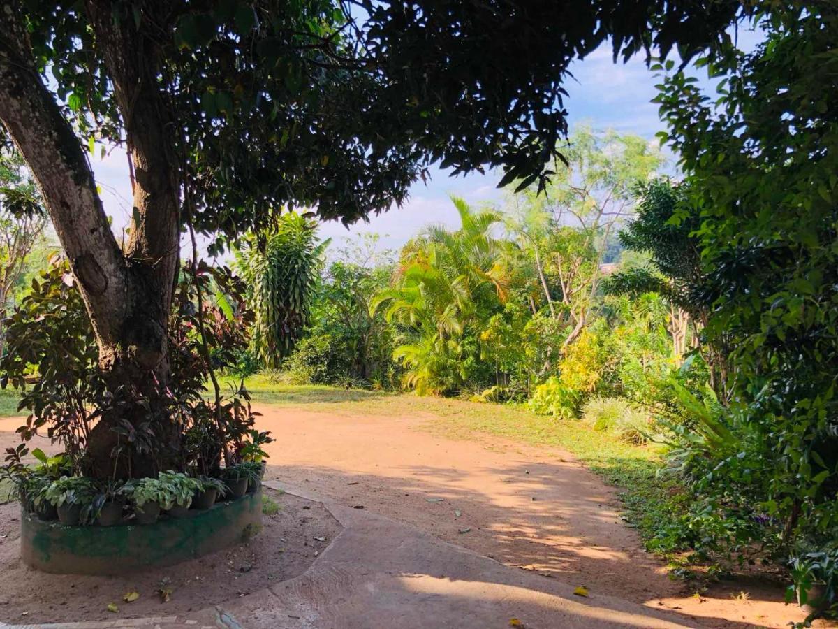 Suisse Villa Kandy Zewnętrze zdjęcie