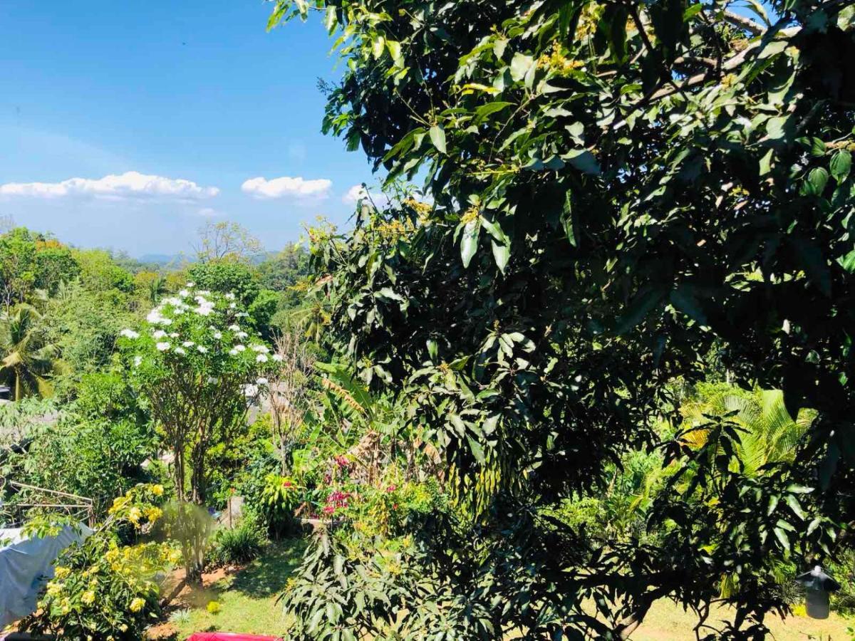 Suisse Villa Kandy Zewnętrze zdjęcie